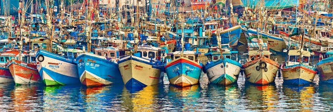 Photo Bateaux de pêche au Sri Lanka par Philip Plisson