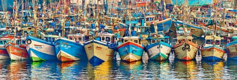 Photo Bateaux de pêche au Sri Lanka par Philip Plisson