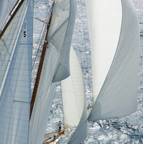 Photo Downwind, the Voiles de Saint-Tropez par Guillaume Plisson