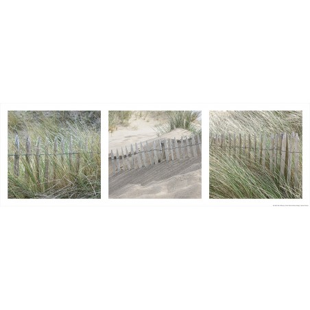 Dune et ganivelles en Bretagne