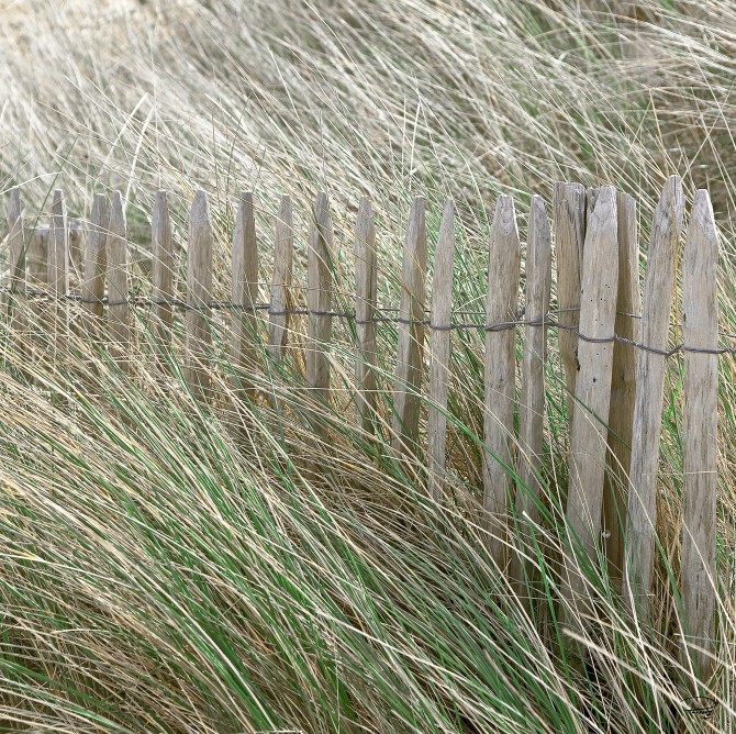 Photo Dune et ganivelles en Bretagne par Philip Plisson