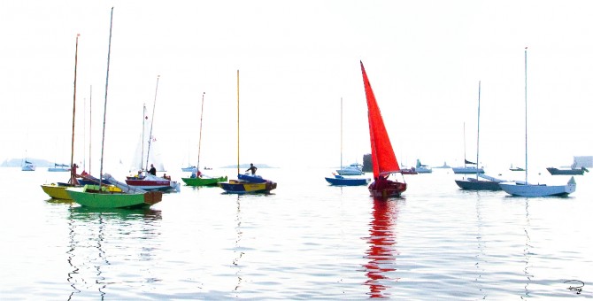 Photo Caravelles au mouillage, Carantec, Finistère par Philip Plisson