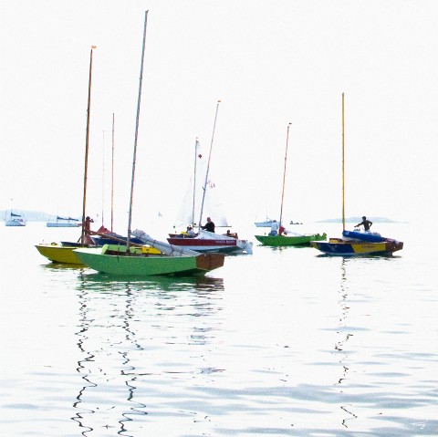 Photo Caravelles au mouillage, Carantec, Finistère par Philip Plisson