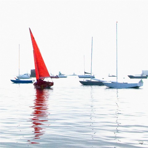 Photo Sailing boats at anchor, Carantec, Finistère par Philip Plisson