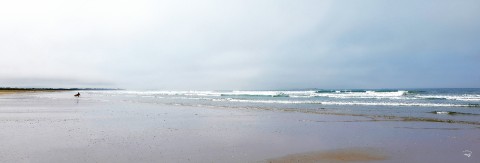 Photo Plage du Morbihan par Philip Plisson