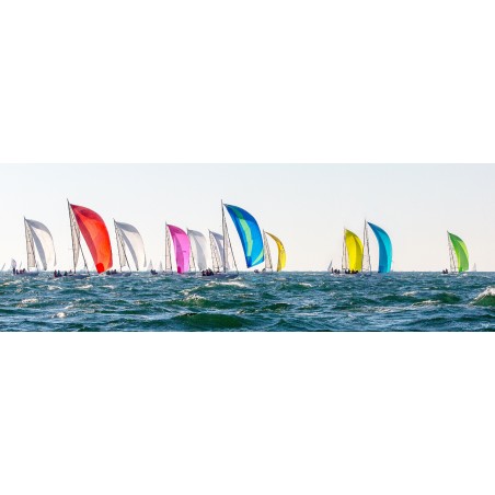 Descente sous spi, voiliers en régate