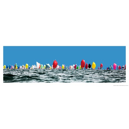 Voiliers sous spi en baie de Quiberon