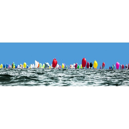 Voiliers sous spi en baie de Quiberon