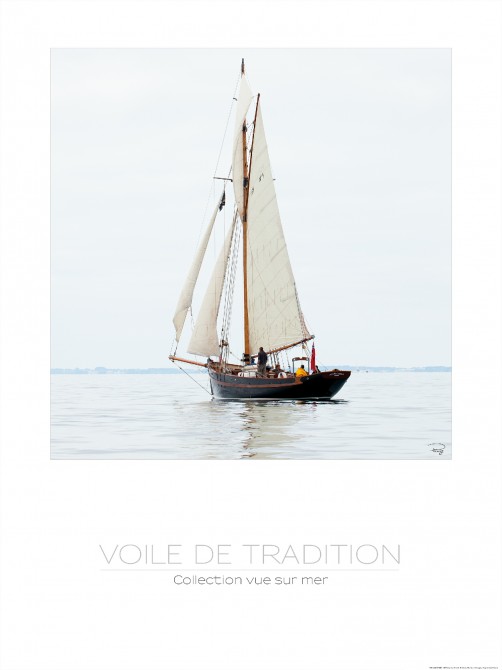 Photo Voile de tradition, vieux gréement par Philip Plisson