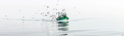 Photo Pêche côtière en baie de Quiberon par Philip Plisson