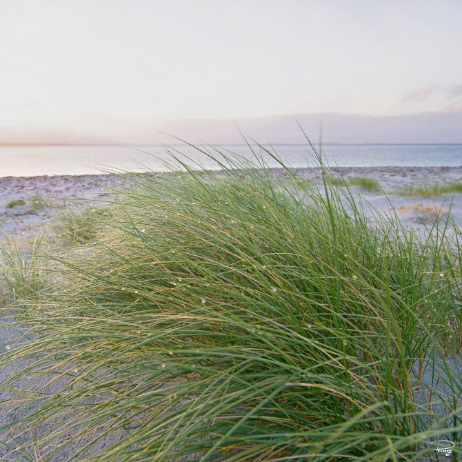 Photo  par Philip Plisson