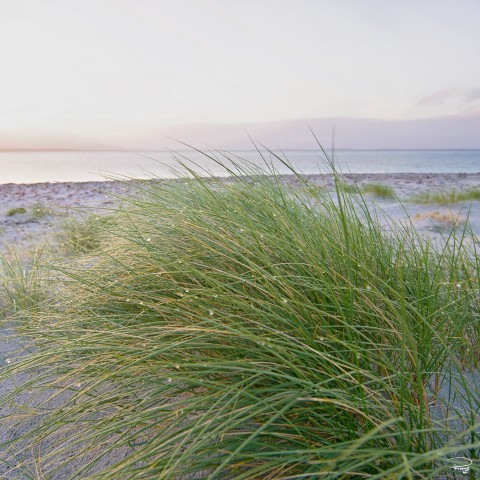 Photo Sur la Dune par Philip Plisson