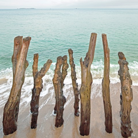 Photo Sur la plage de Saint-Malo, Ille-et-Vilaine par Philip Plisson