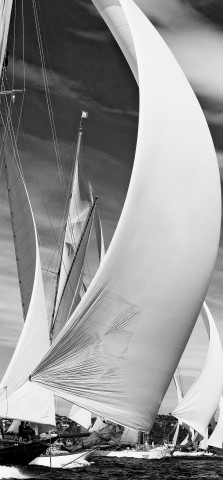 Photo The Voiles de Saint-Tropez regattas par Guillaume Plisson