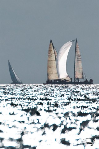 Photo Régate sous spi en baie de Quiberon par Philip Plisson