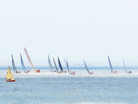 Photo Régate en Baie de Quiberon par Philip Plisson