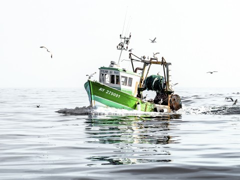 Photo Back from fishing par Philip Plisson