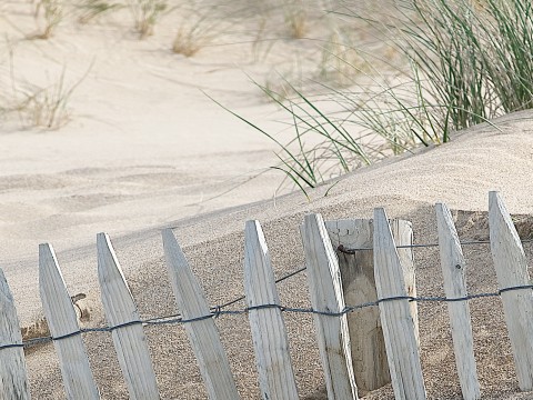 Photo Dans les dunes, Bretagne par Philip Plisson