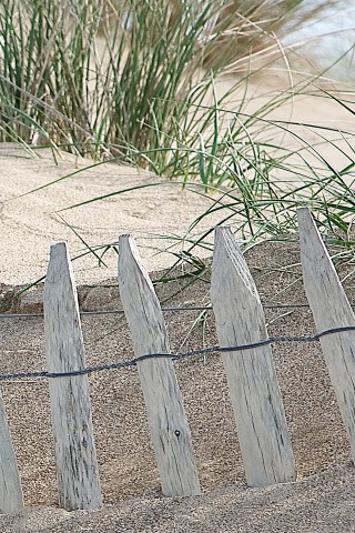 Photo Dans les dunes, Bretagne par Philip Plisson