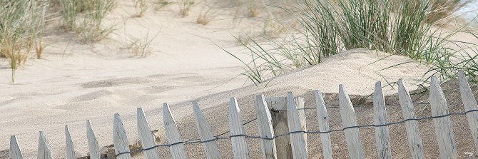 Photo  par Philip Plisson