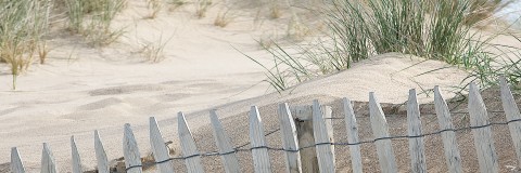Photo Dans les dunes, Bretagne par Philip Plisson