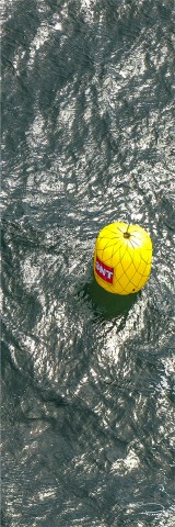 Photo 6 mètres JI, voilier en régate par Philip Plisson