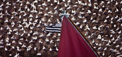 Photo L'archipel des 7 îles, Perros-Guirec par Philip Plisson