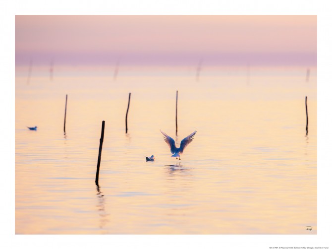 Photo par Philip Plisson