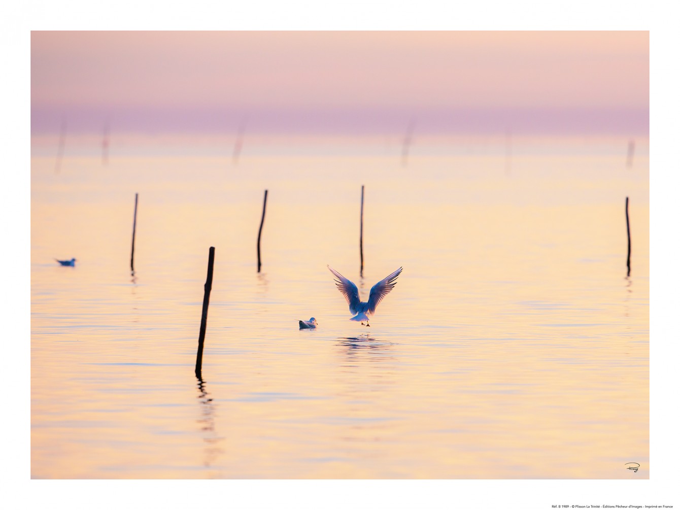 Canvas Photo Venice And Its Lagoon Italy By Philip Plisson Ei