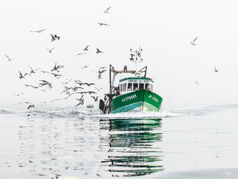 Photo Pêche côtière en baie de Quiberon par Philip Plisson