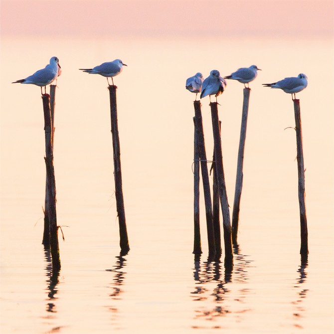 Photo  par Philip Plisson