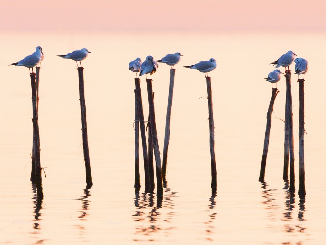 Photo  par Philip Plisson