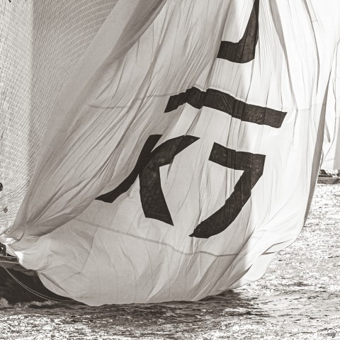 Photo Velsheda Spinnaker par Philip Plisson