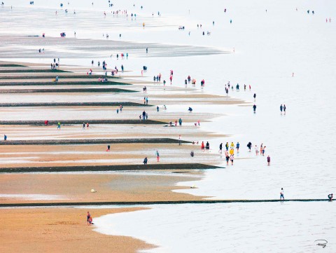 Photo Plage du Nord, Pas de Calais par Philip Plisson