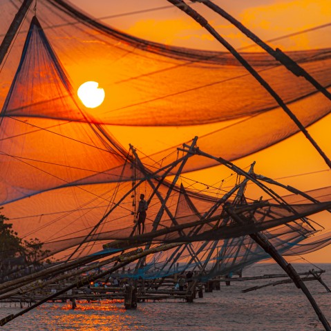 Photo Backwaters, Kerala - India par Philip Plisson