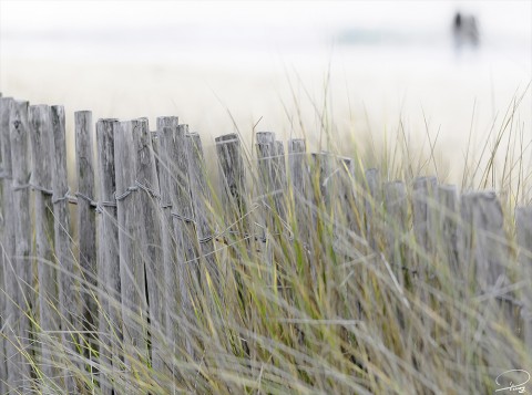 Photo Ganivelles par Philip Plisson