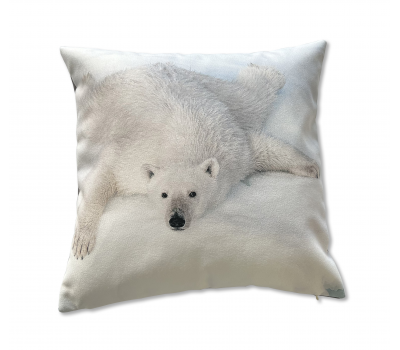 Photo Polar bear on the ice floe par Philip Plisson