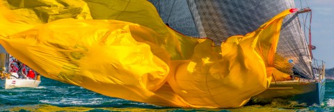 Photo Spi jaune à l'eau par Philip Plisson