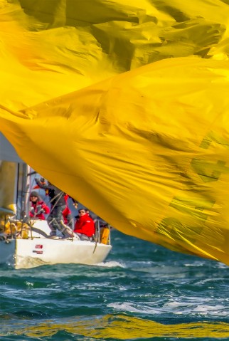 Photo Spi jaune à l'eau par Philip Plisson