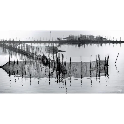 In the Lagoon of Venice