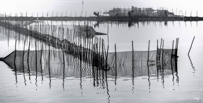 Photo par Philip Plisson