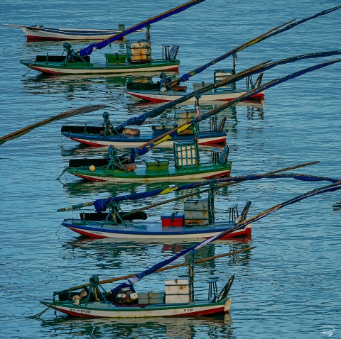 Photo Jangadas au Brésil par Philip Plisson