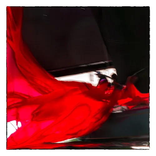 Tirage d'art - Affalage de spi rouge - Philip Plisson