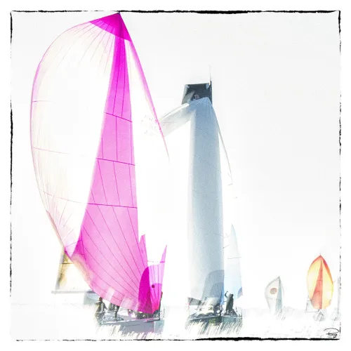 Tirage d'art - Voilier sous spi rose - Philip Plisson