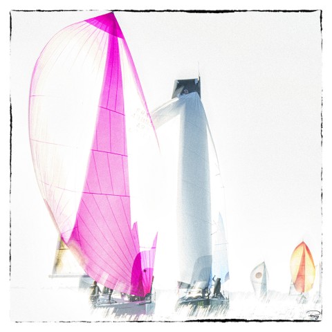 Photo Spi 2022 - Under Pink Spinnaker par Philip Plisson