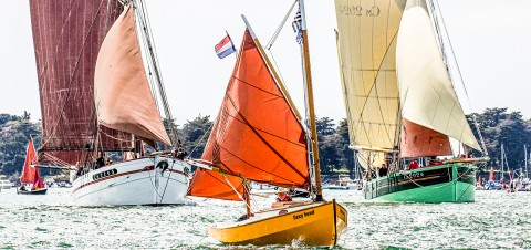 Photo Bateaux en navigation pendant la parade dans le Golfe du Morbihan par Philip Plisson