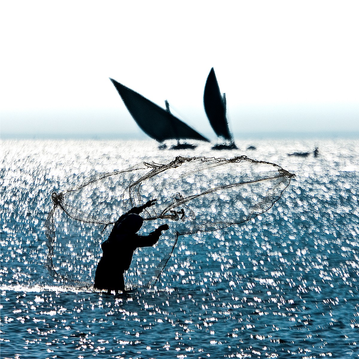 Canvas photo - Fisherman on Lake Burullus - Philip Plisson • EI. Philip ...