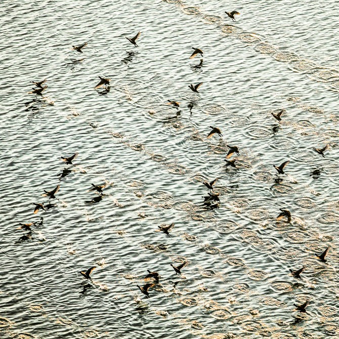 Photo par Philip Plisson