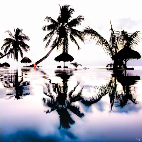 Photo poster - Palm tree reflections by the pool