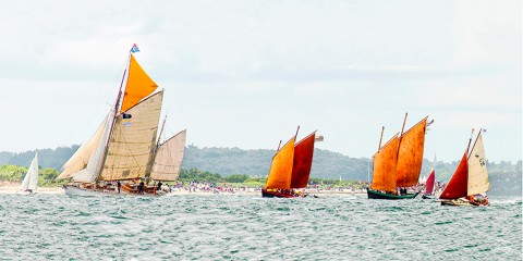 Photo Vieux gréements dans le Golfe du Morbihan, Bretagne par Philip Plisson